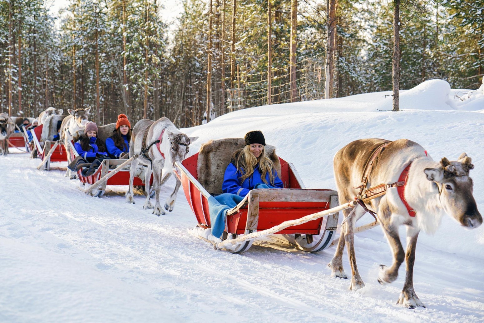 viajar a laponia con hijos rovaniemi laponia